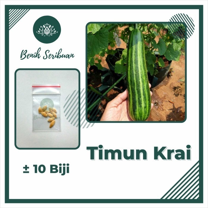 10 Bibit Timun Krai Safari Super Benih Sayuran Tanaman Mentimun Sayur - TIMUN KRAI