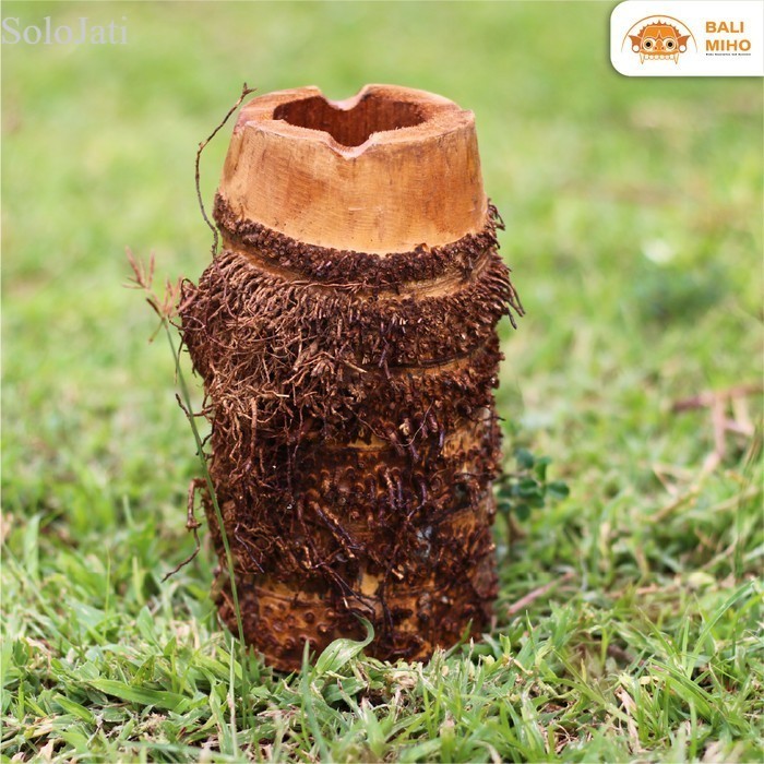 

Asbak Kayu/Asbak Wajah Kayu/Asbak Akar Kayu/Asbak Wajah Orang Tua/Ukir murah
