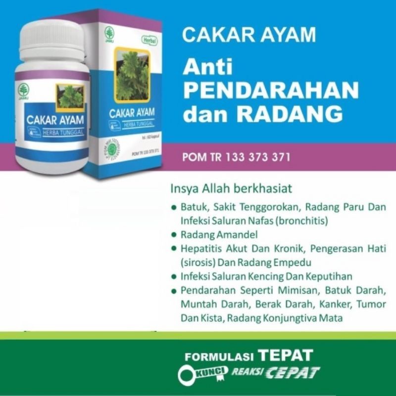 Kapsul Cakar Ayam HIU Original