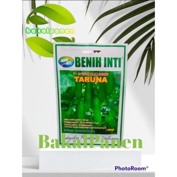Benih bibit timun Benih Inti TARUNA isi 100biji kemasan segel