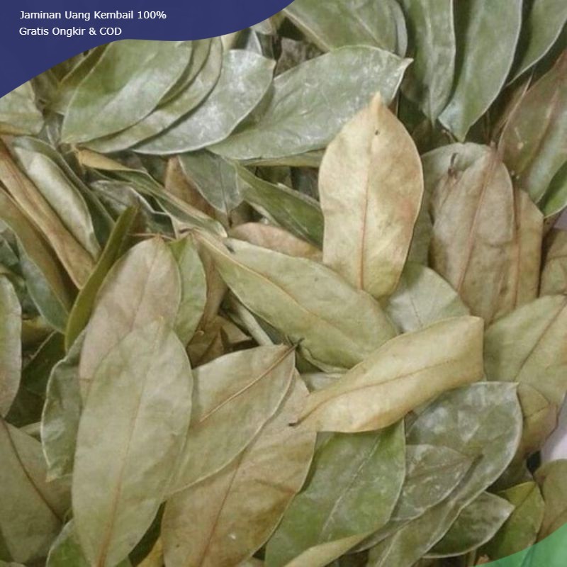 

Daun Sirsak 500 Gram Sirsat Kering