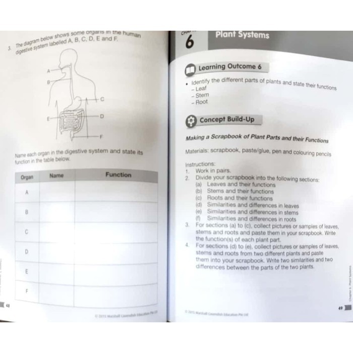 

Primary Science Concepts Applied Primary 3 & 4