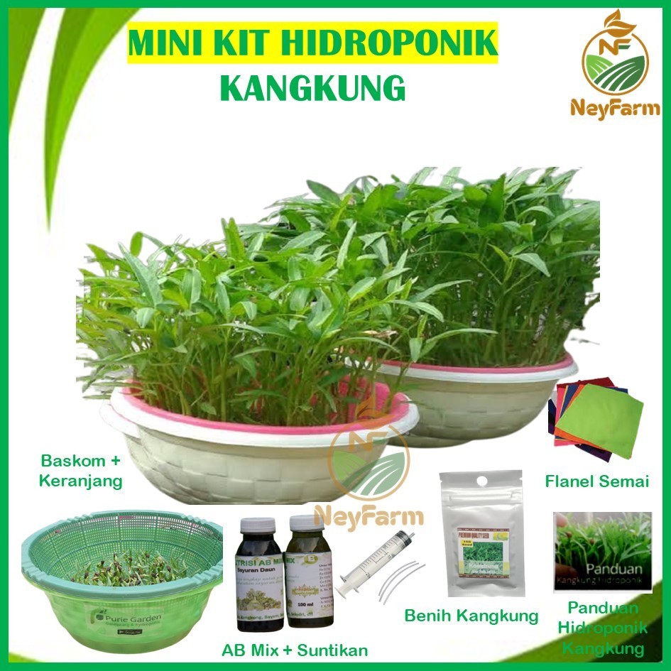 Mini Kit Kangkung Hidroponik Paket Hidroponik Kangkung Lengkap