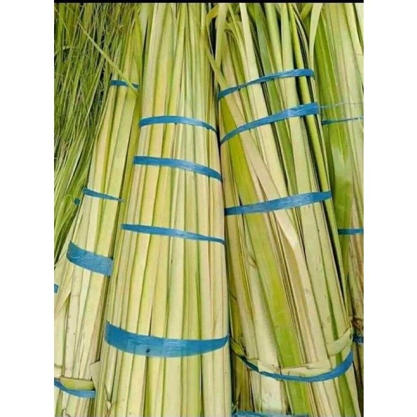 

Jamu Daun Kelapa Muda Isi 50Lbr Berkhasiat