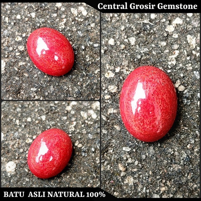 Batu Akik Marjan Natural Red Coral Asli