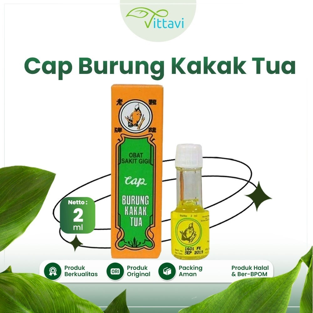 obat sakit gigi tradisional cap burung kakak tua ampuh menghilangkan 
 sakit gigi berlubang yang ngi