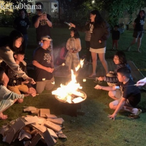 

kayu bakar api Unggun rockfire murah