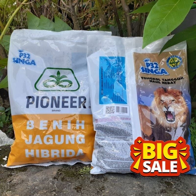 

Bibit Jagung P32 Singa Pilihan Terbaik 1kg - Benih Jagung Berkualitas