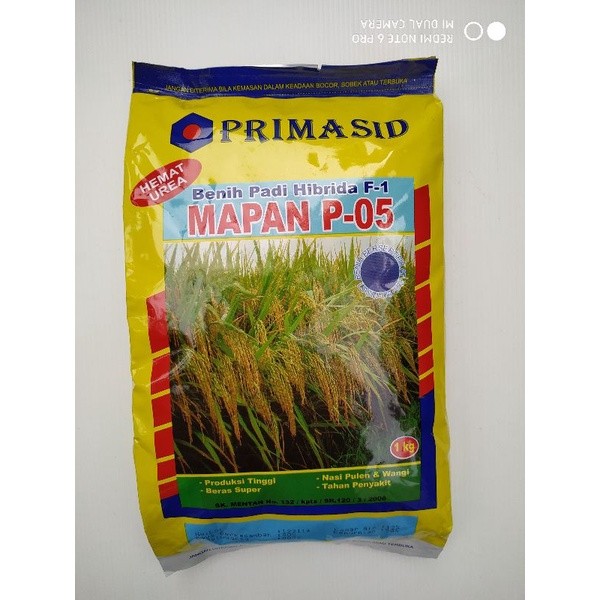 Benih Padi Hibrida Mapan P-05 Mapan  desember-25