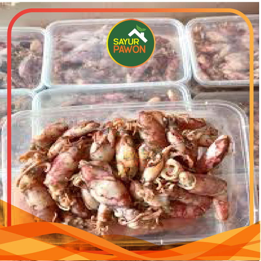 

Cumi Asin Telur Baby per 250 gram