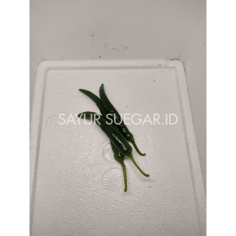 

cabe hijau besar 250 gram