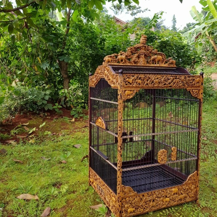 Promo Discount     sangkar burung ukiran sangkar kontes sangkat burung jati kotak