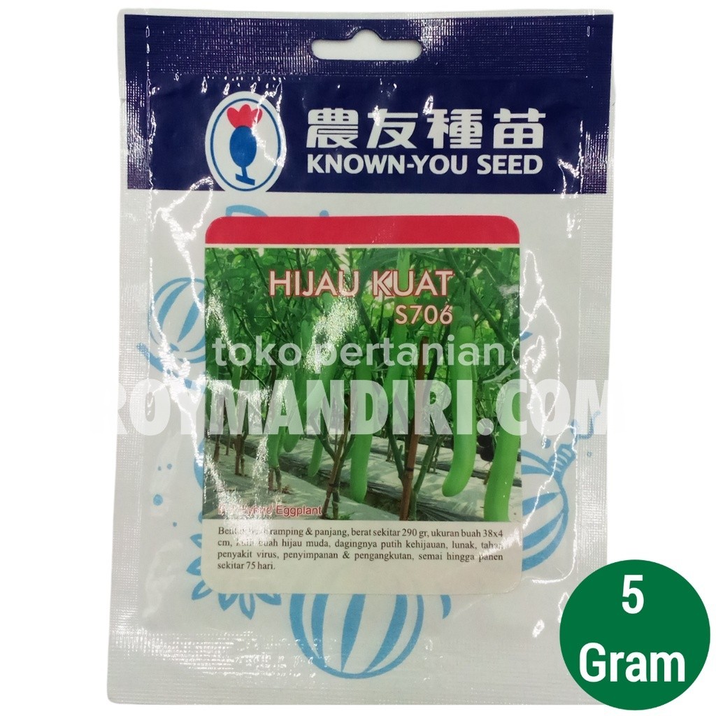 Benih Terong Hijau Kuat @5 gram