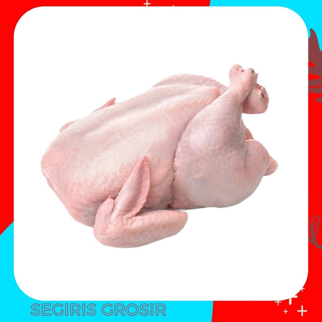 

Ayam broiler utuh frozen 1 ekor