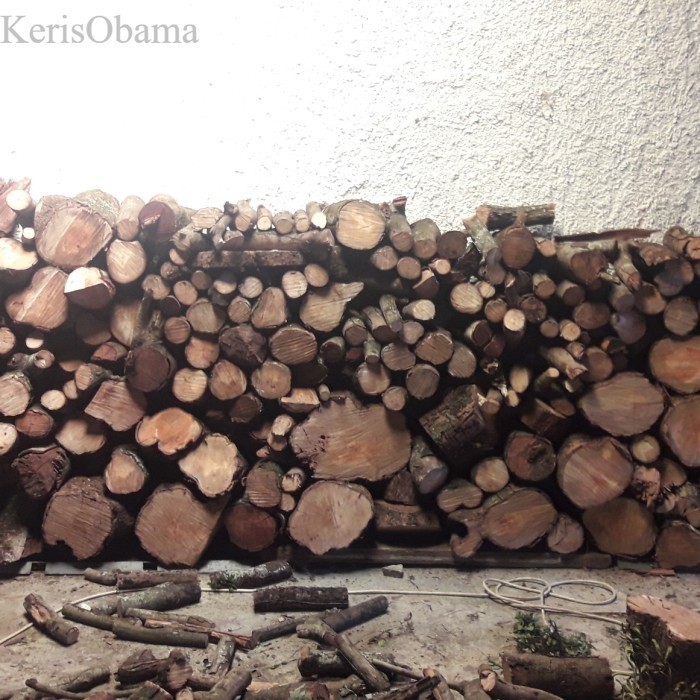 

Kayu Bakar Rambutan Jual Murah murah