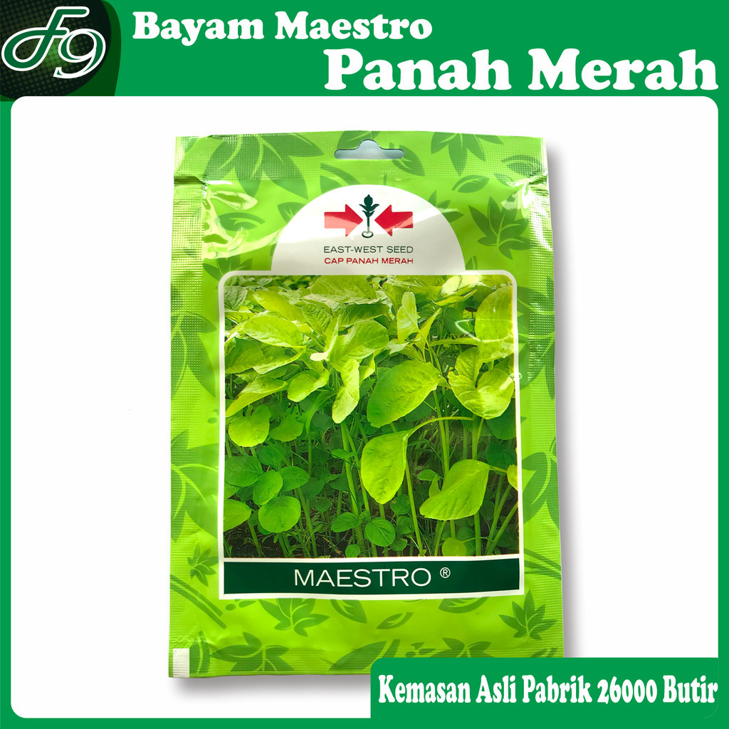 Benih bibit bayam hijau maestro 26000 butir cap panah merah biji bayem ijo cabut potong petik