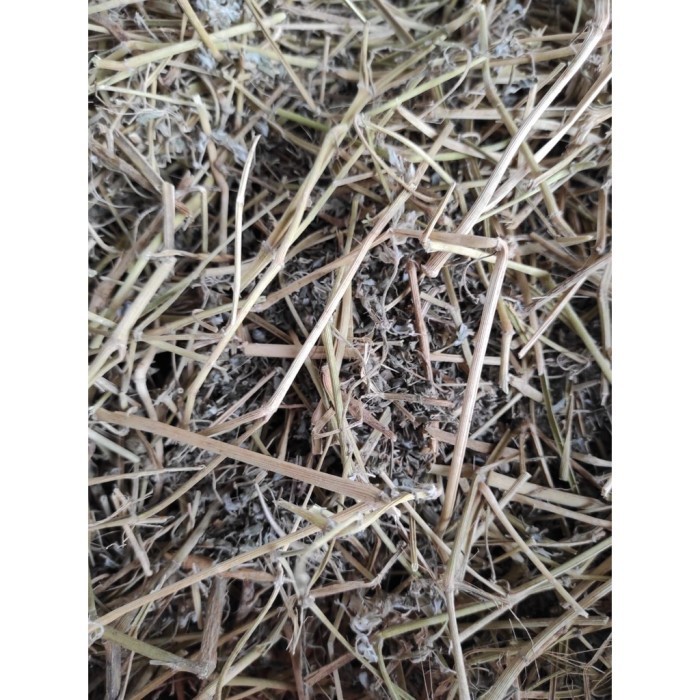 

Bubuk Daun Tribulus 1 kg Tanaman Herbal Free Stiker PIRT Random