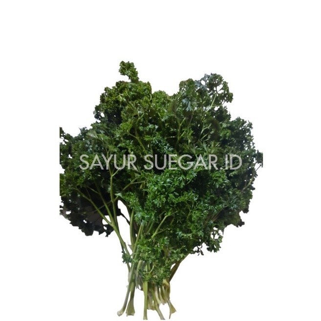 

peterseli/parsley 500 gram