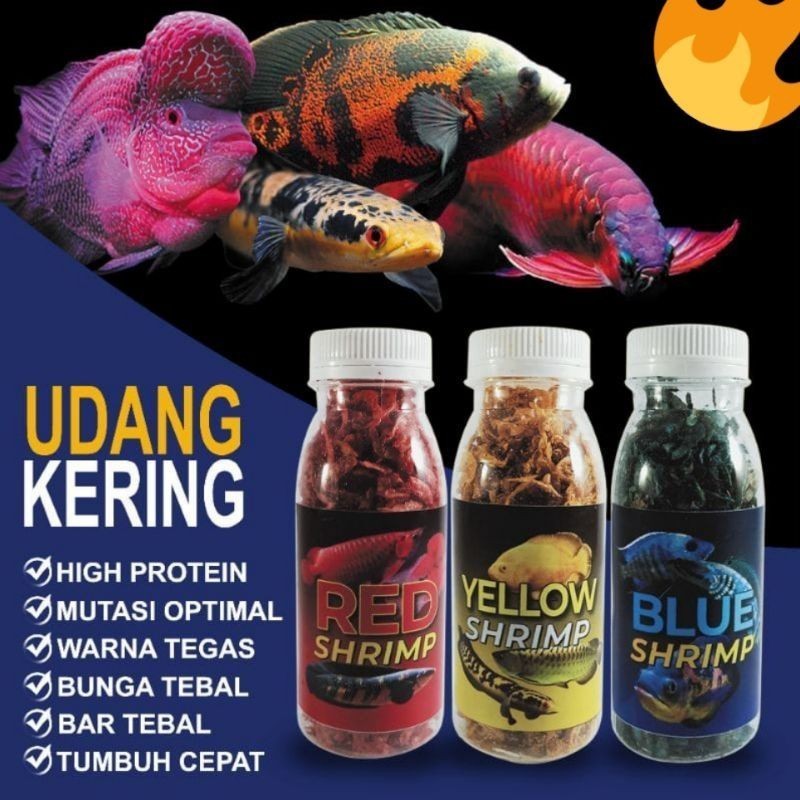 Udang kering blue red yellow / udang kering / pakan chana / pakan louhan / pakan kura-kura / pakan i