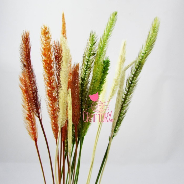 Ilalang Kering Bahan Craft Kerajinan Daun dan Bunga Dekorasi Rustic