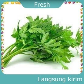 

Daun Seledri per ikat Sayur Mayur Bersih Fresh
