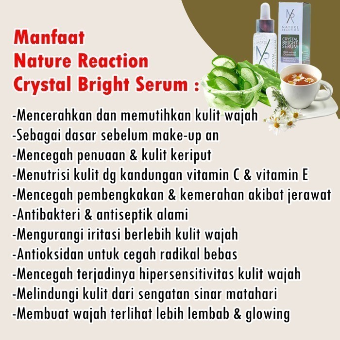 Serum Pria Wanita Remaja Skincare Wajah Anti Aging Serum NR Glowing