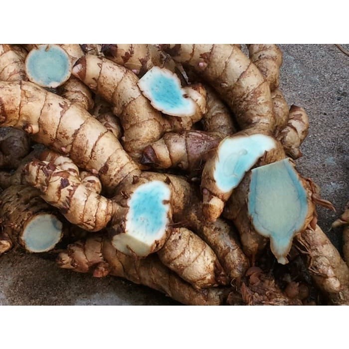 

New Promo 1 kg Terlaris Temu Ireng - Temu Hitam COD COD