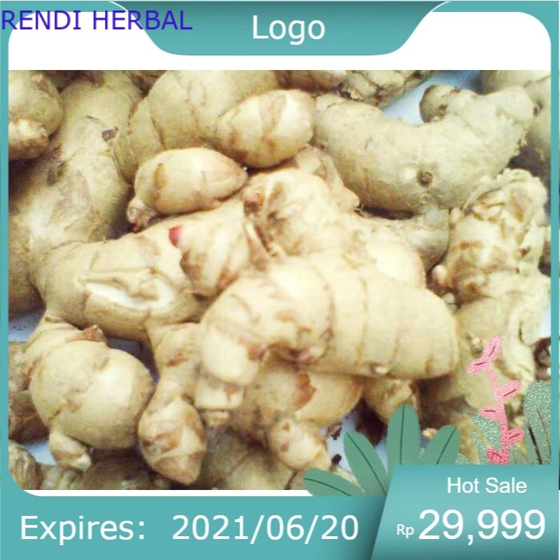 

terlaris Kunyit Putih 1kg Temu Putih CURCUMA ZEDOARIA 1 KG