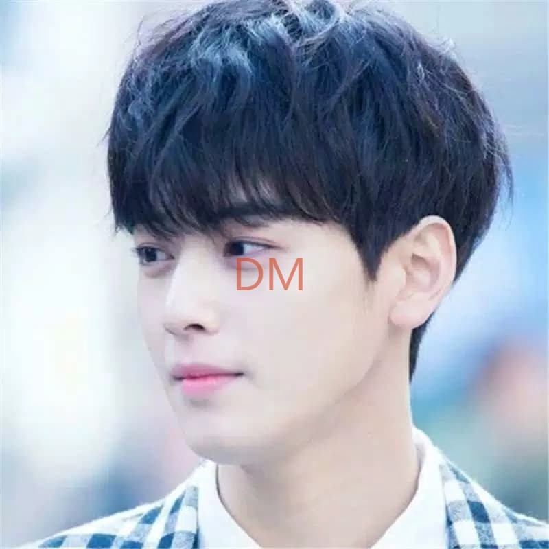 【Kiriman hari yang sama】 HIGH QUALITY WIG PRIA / RAMBUT PALSU MODEL GAYA KOREA WIG RAMBUT PALSU PRIA