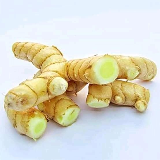 

Temu Mangga Curcuma Mangga Amada Segar Kunyit Mangga 1 KG Bersih Bisa COD - Produk Alami untuk Kesehatan Tubuh Herbal