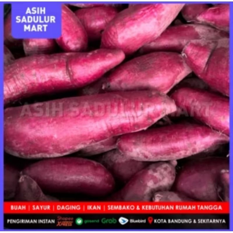

UBI UNGGU BESAR 1 KG