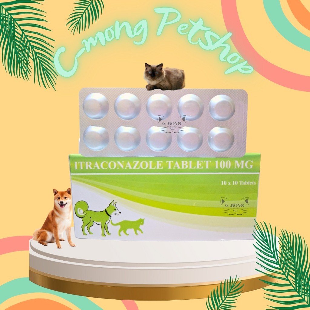 Itraconazole 100mg Obat Anti Jamur Ringworm Kucing Anjing (1 TABLET)