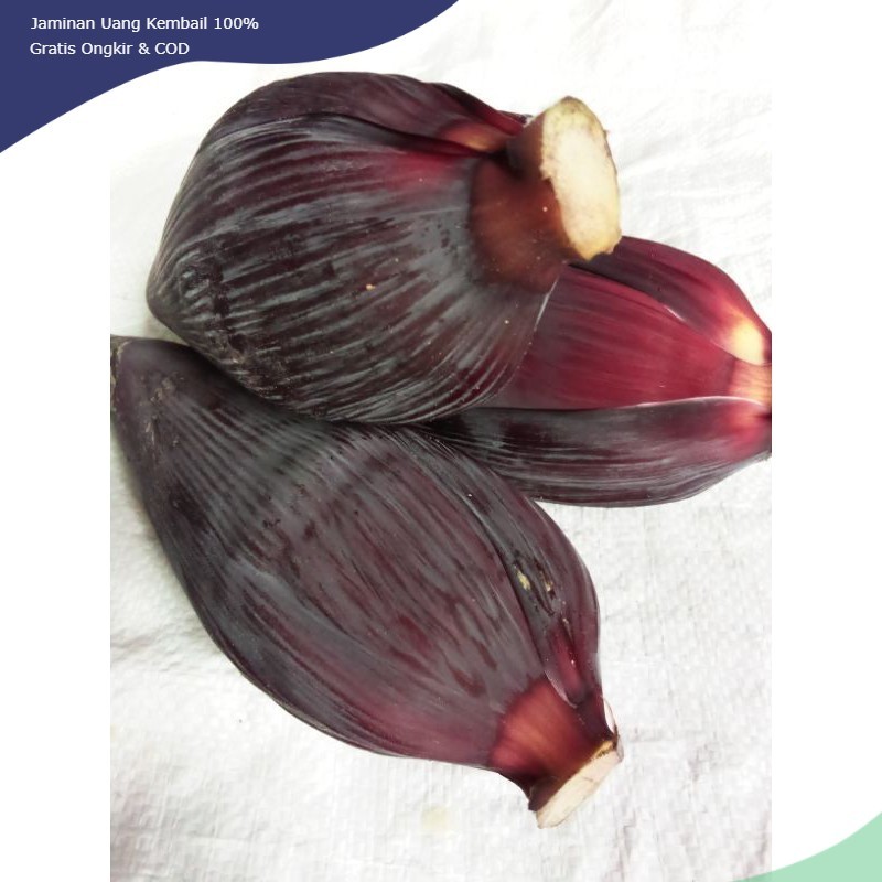 

Jantung pisang raja