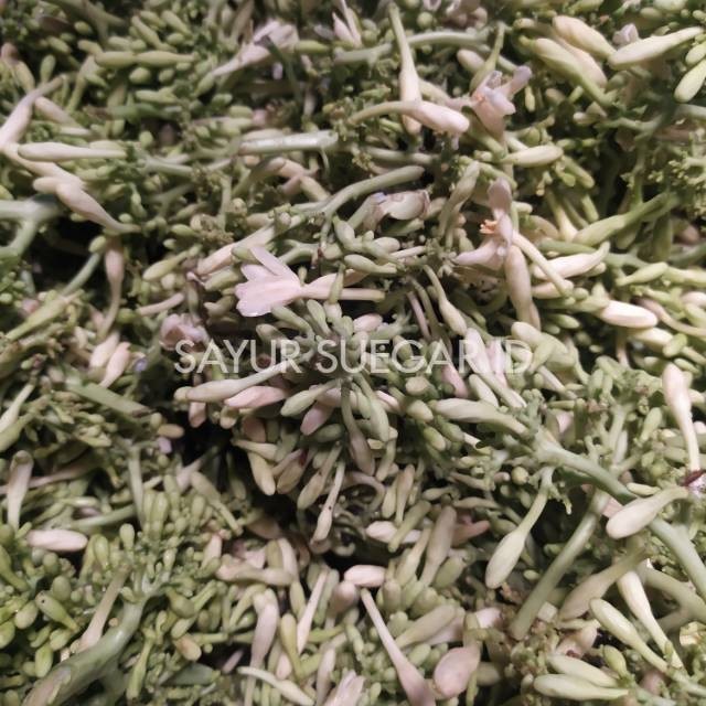 

Bunga pepaya /250 gram