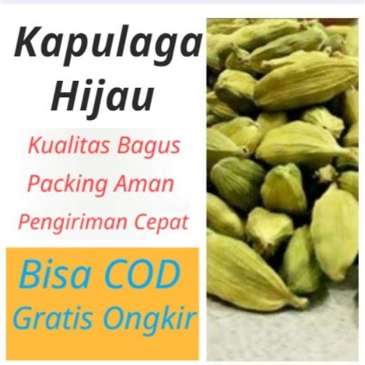 

Kapulaga Hijau Import India Kualitas Bagus Isi 10 Gram / Green Cardamon / Bumbu Dapur / Rempah / Bumbu Masak