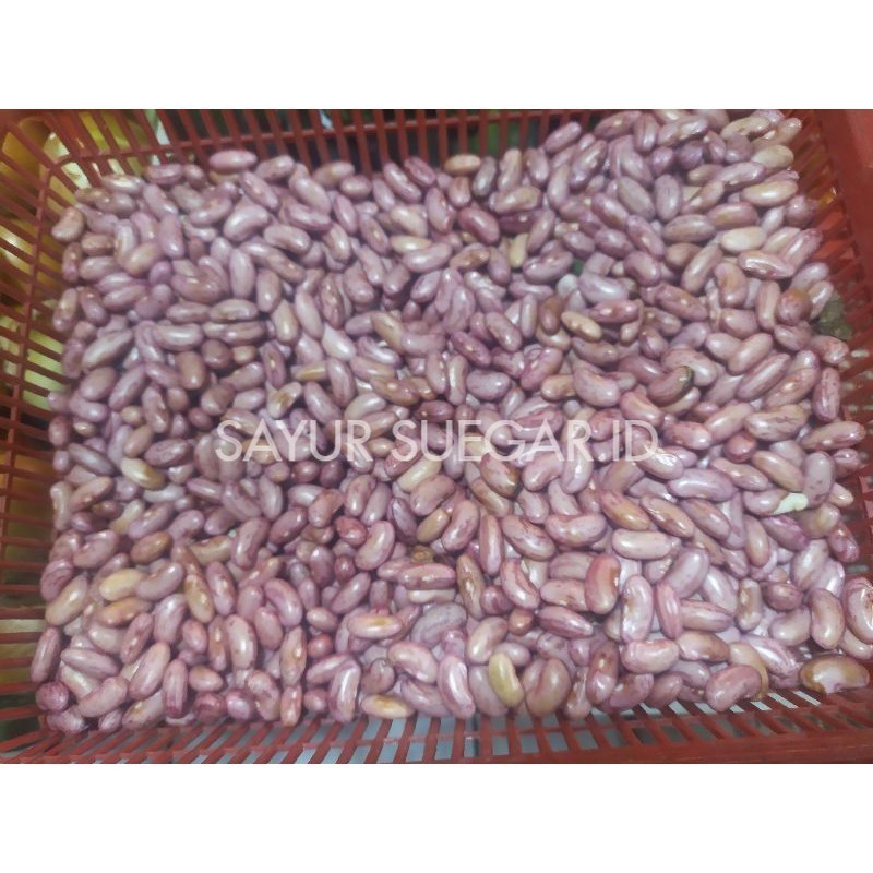 

kacang joglo/merah segar 250 gram