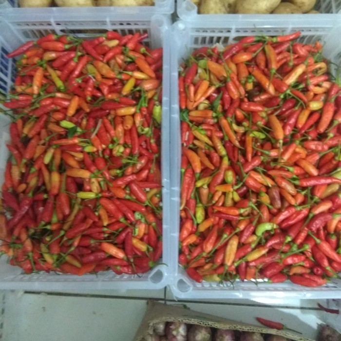 

Cabe Rawit merah /kg