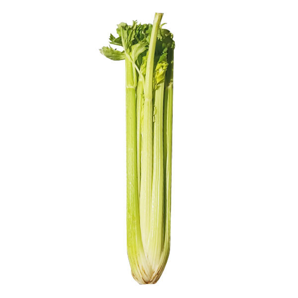 

CELERY STICK IMPORT 400-450 GR