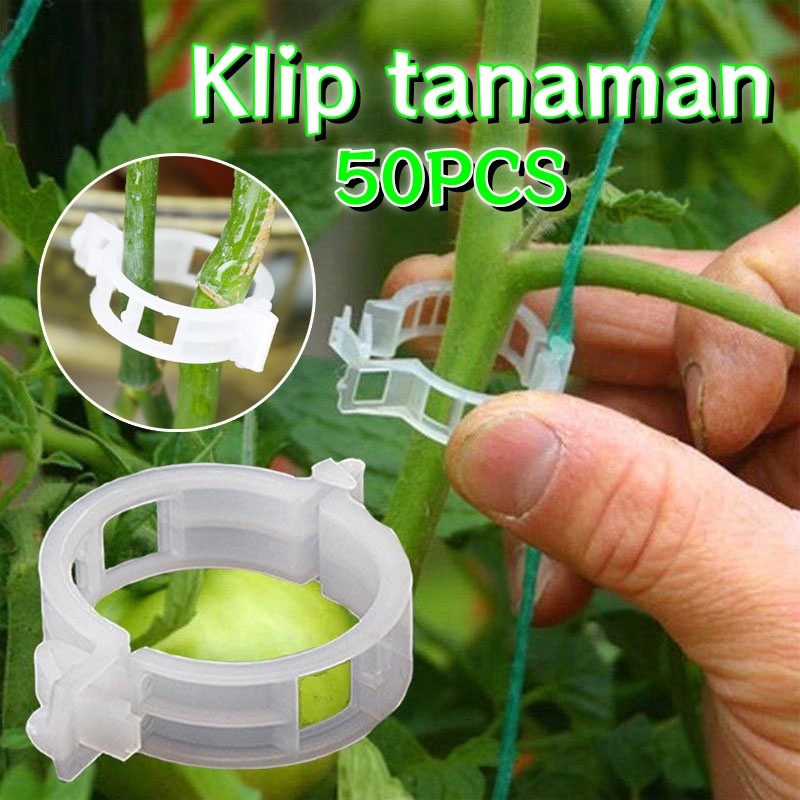 50PCS Klip Tanaman / Tomato Trellis Clip/Klem anggur plastik/klem anggur gantung / Klip Tali Lanjara
