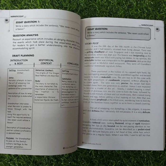 

O Level English Paper 1