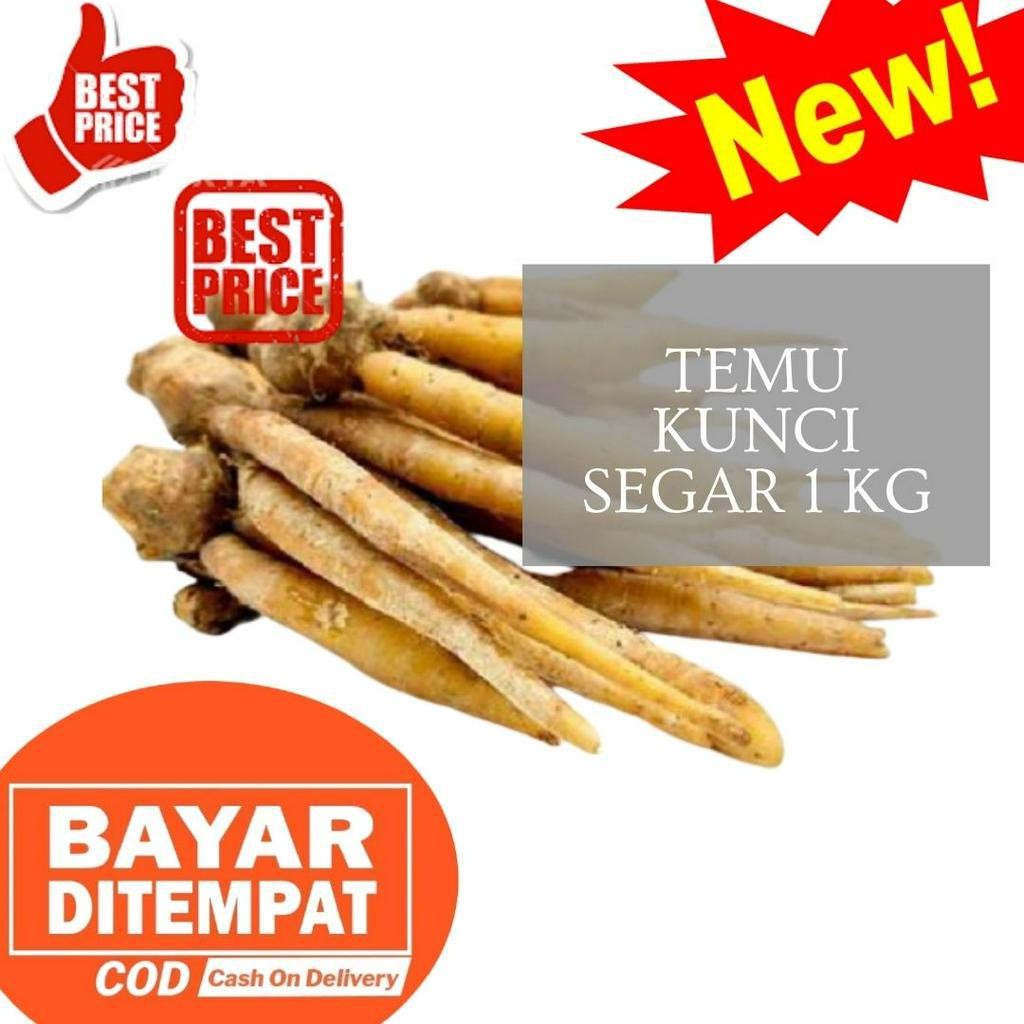

TEMU KUCI SEGAR 1 KG