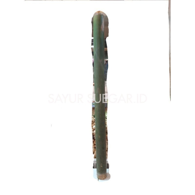 

bambu 1 pcs untuk bakar lemang