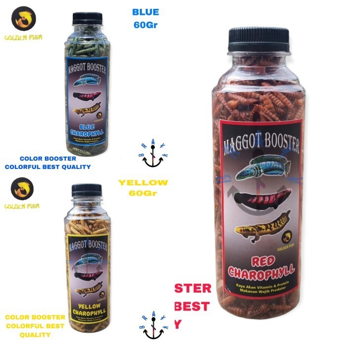 Pakan Ikan Predator Maggot Kering Grade S++ Premium Super Booster