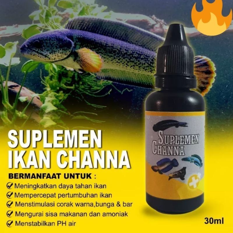 Suplemen ikan chana / obat probiotik chana mutasi warna / supleman ikan / mutasi warna ikan chana / 