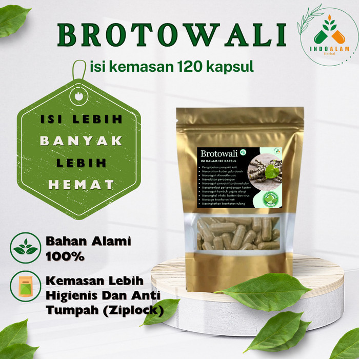 Brotowali 120 Kapsul Obat Herbal Alami Diabetes Alergi Gatal Imun