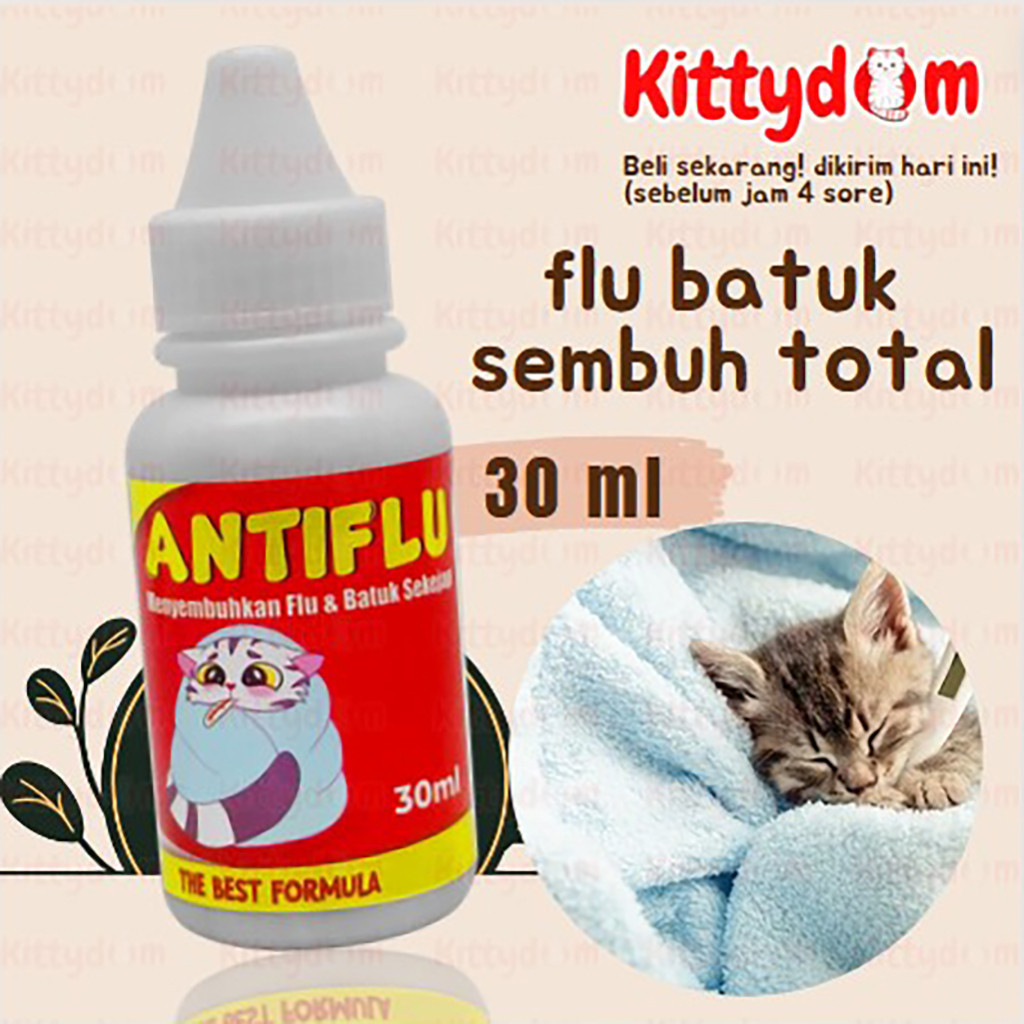 KITTYDOM Anti Flu Kucing Obat Batuk Pilek Antibiotik Kucing Kitten Anabul Atasi Bersin Sariawan Infe