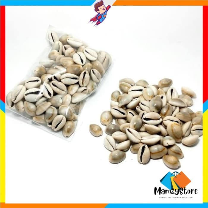 Biji congklak asli kerang Besar BAGUS original 100 gram