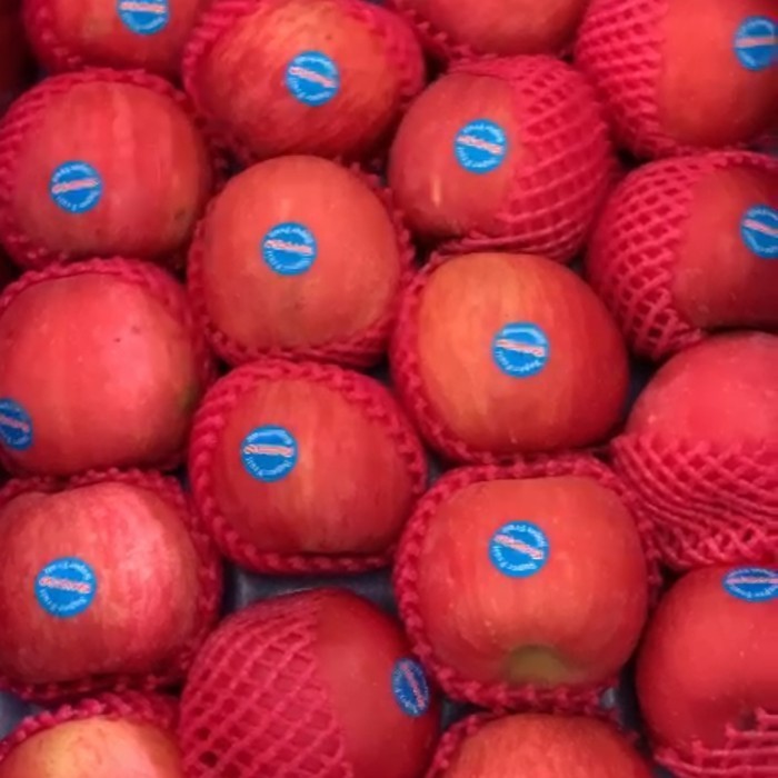 Terlaris ✨ -APEL FUJI ROSY BLUSH - Fuji wangshan