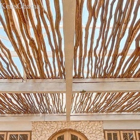 

Ranting Kayu Jati Kering 200 CM Bahan Atap Dekoratif Dayani Indonesia murah