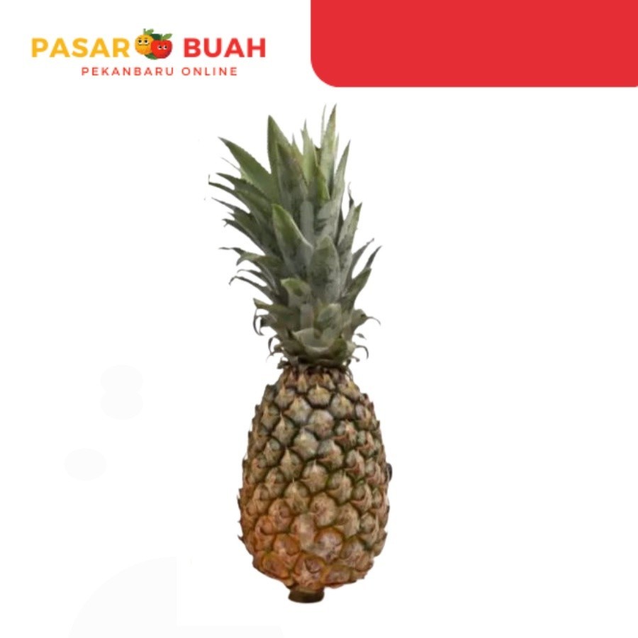 

Nanas Palembang Uk. Sedang Pasar Buah Pekanbaru